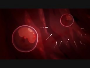 Thumbnail of post image 131